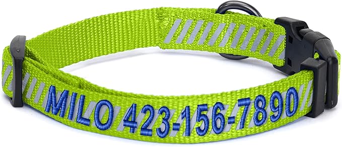 Pawtitas Reflective Dog Collar - Personalized Name & Phone Number, Adjustable for Small Dogs & Puppies, Green