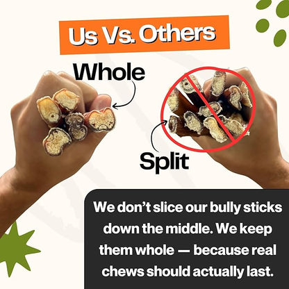 Bully Sticks for Dogs, (6 Inch, 5 Count), Dog Chew Toy for Aggresive Chewer, Long-Lasting, 100% Grass-Fed Beef Pizzle - Ideal for Medium and Large Dogs - Rawhide-Free