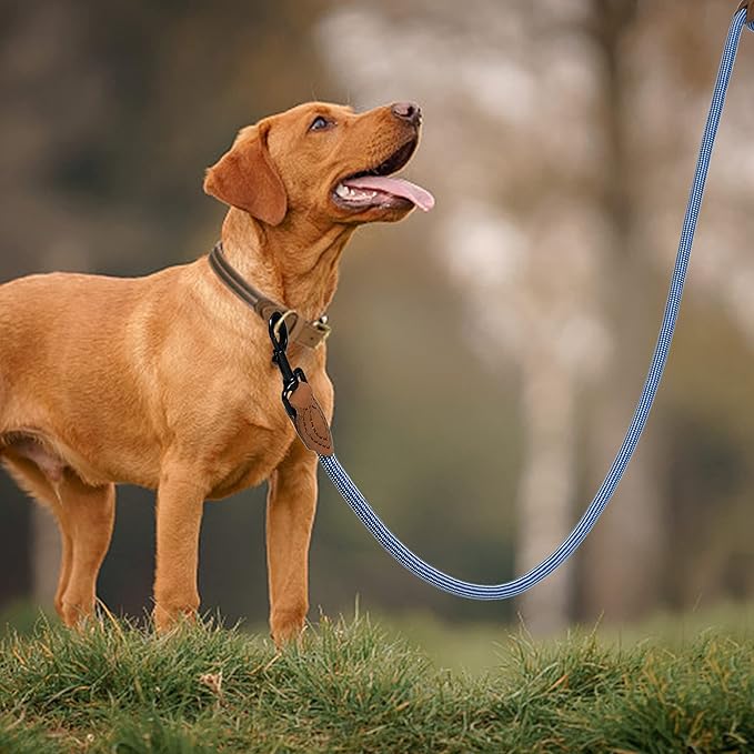 Mile High Life Rope Leash with Genuine Leather Connection, 6 FT/5 FT/4 FT, Heavy Duty Leash for Medium & Large Dogs (Blue White, 48 Inch)