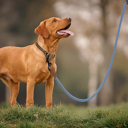 Mile High Life Rope Leash with Genuine Leather Connection, 6 FT/5 FT/4 FT, Heavy Duty Leash for Medium & Large Dogs (Blue White, 48 Inch)