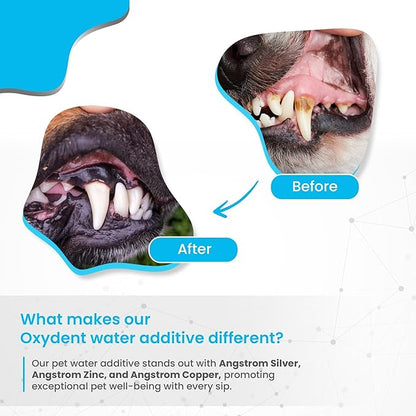 Infinite Health Labs Oxydent Premium Pet Dental Care Solution - Pet Water Additive & Mouthwash for Teeth Cleaning - Eliminate Bad Dog & Cat Bad Breath - Dog Dental Rinse - Fights Tartar & Plaque