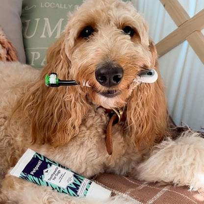 Petpost | Toothpaste for Dogs - Coconut Oil and Baking Soda Based Dental Gel That Naturally Eliminates Bad Breath - Dirt, Gunk, and Tooth Buildup Gone - Mint Flavor 4 oz.