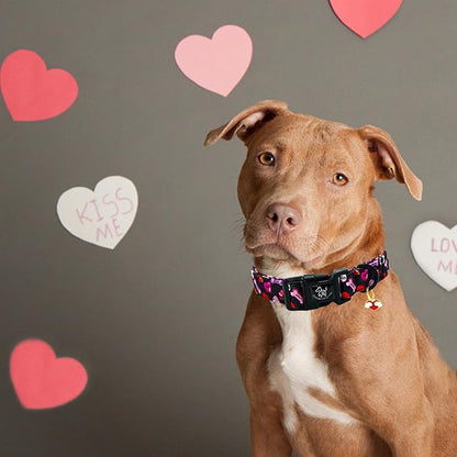 Elegant little tail Day Dog Collar, Red Heart Dog Collars Female or Male Adjustable Cotton Pet Collar with Quick Release Buckle for Small Medium Large Dogs