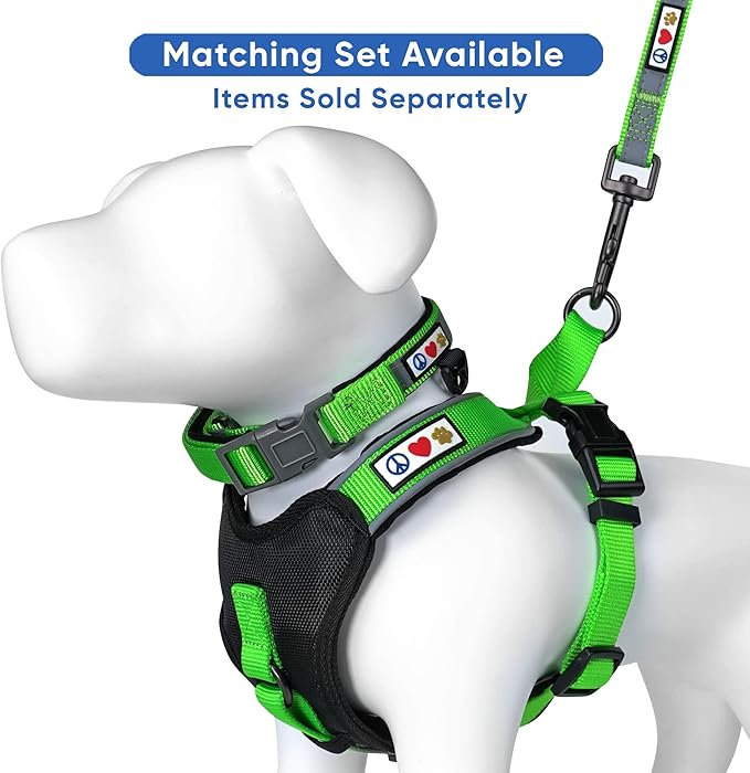 Pawtitas Personalized Green Dog Leash 6 ft Custom ID Lead for Dogs & Puppies Reflective Comfortable Padded Handle Embroidered Name & Phone Number