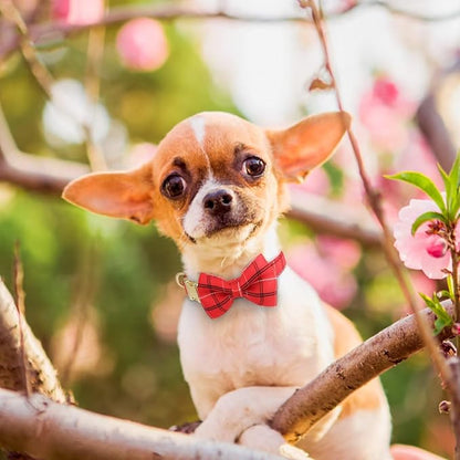 Beirui Cute Extra Small Dog Harness Collar and Leash Set with Bowtie, Soft Adjustable Plaid Puppy Harness for Small Sized Dogs Cats Walks Parties and Photoshoots(Red,XXS:Chest 12-14")