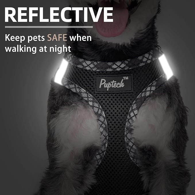 PUPTECK Dog Harness and Leash Set for Small Medium Dogs No Pull Step-in Soft Mesh Puppy Cat Vest Harnesses Reflective at Night, Black L