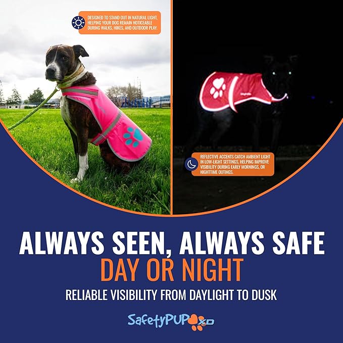 SafetyPUP XD Dog Reflective Vest – Hi-Vis Fluorescent Visibility That Helps to Safeguard Your Pet On/Off Leash in Urban & Rural Areas (Pink, Medium)