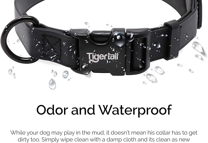 Tiger Tail Large Dog Collar | Waterproof and Odor-Proof for Active Pets | Durable, Anti-Mat, and Lightweight Design | Made with Premium Coated Nylon | Suitable for Large Breed Dogs