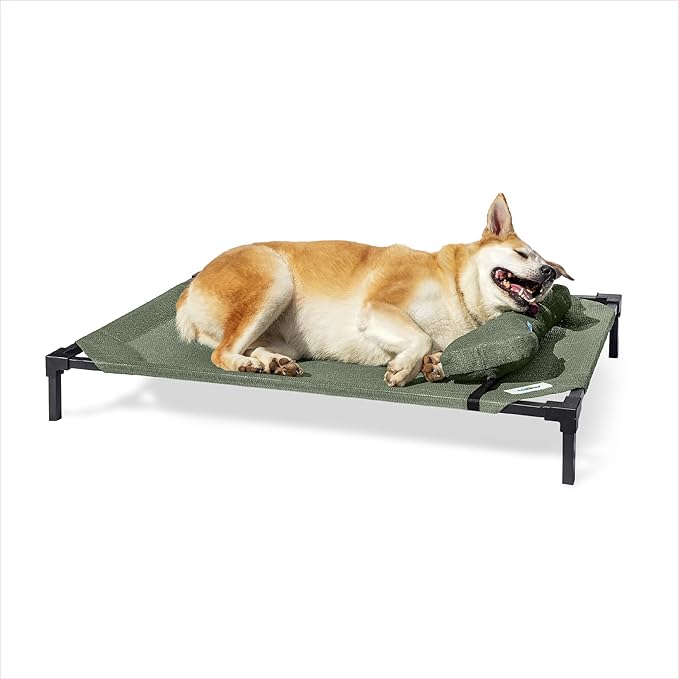 Coolaroo Pro Elevated Dog Bed with HeatShield Fabric – Advanced Cooling Raised Cot for Medium & Large Breeds, Easy-Clean, Low-to-Ground Access, Bonus Bolster Pillow – Everglade Green