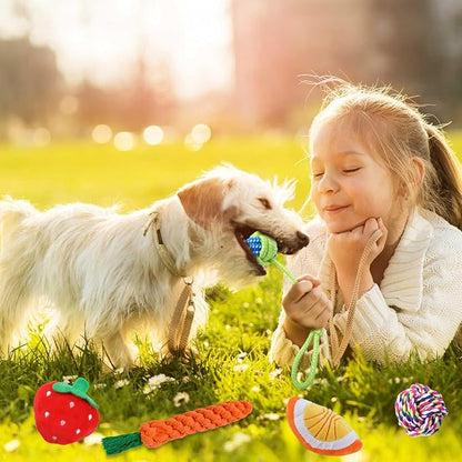 MRSOHRET 18 Pack Dog Toys Puppy Teething Toys, Puppy Essentials Chew Toy Bundle with Squeaky Toy and Interactive Rope for Small Dogs to Keep Them Busy