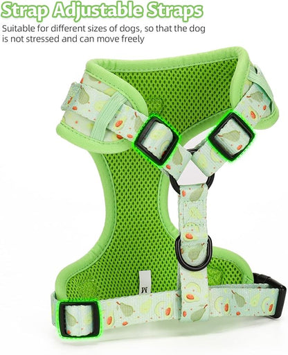 Dog Harness and Leash Set, Adjustable Dog Harness, Dog Leash, No Pull No Choke Puppy Harnesses for Walking Training for Small Medium Pet
