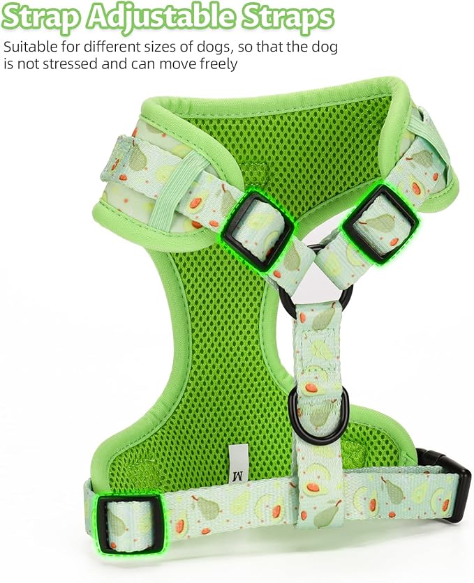 Dog Harness and Leash Set, Adjustable Dog Harness, Dog Leash, No Pull No Choke Puppy Harnesses for Walking Training for Small Medium Pet