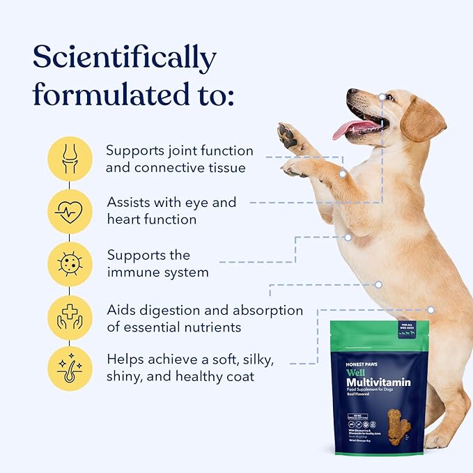 Honest Paws (90 Count) Dog Multivitamin Soft Chews with 10 Essential Vitamins - Joint, Coat, Immune, Eye & Heart Support - with Glucosamine, Chondroitin & Omega-3 - Beef Flavor