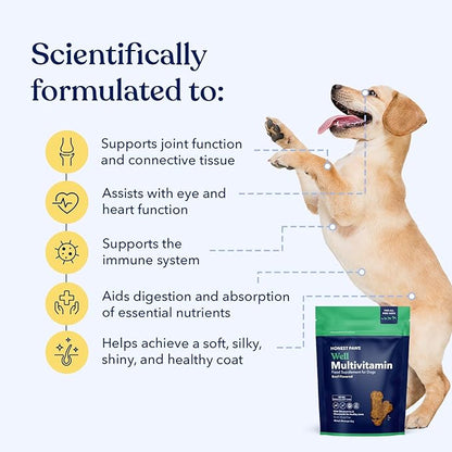 Honest Paws (90 Count) Dog Multivitamin Soft Chews with 10 Essential Vitamins - Joint, Coat, Immune, Eye & Heart Support - with Glucosamine, Chondroitin & Omega-3 - Beef Flavor