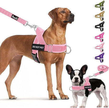 Lukovee No Pull Dog Harness & Leash Set - Heavy Duty Dog Vest Harness with Soft Padded for Medium Large Dogs, Adjustable Reflective Tactical Pet Harness for Easy Walk and Training (L, PI)