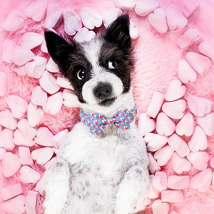 Unique style paws Valentine's Day Dog Collar with Bow Tie Red Blue Pink Heart Love Puppy Collar Best Gothic Style Gift for Small Medium Large Boys Girls-L