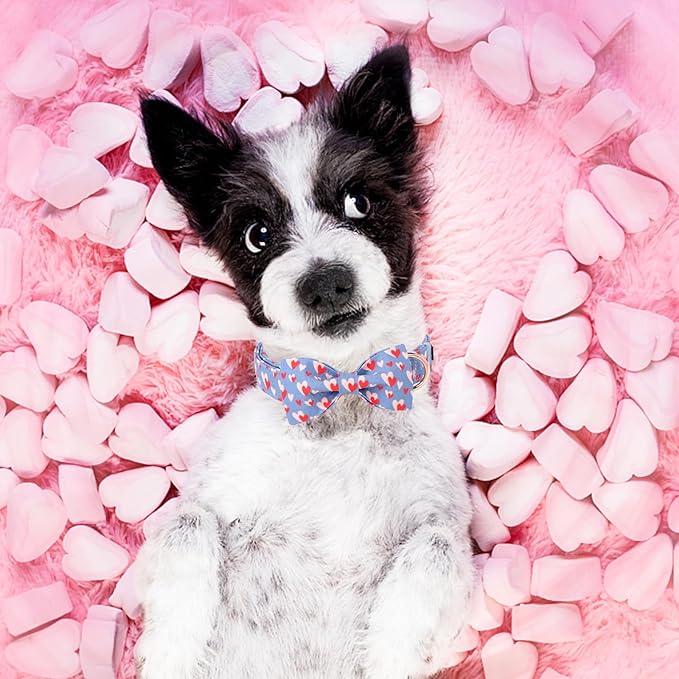 Unique style paws Valentine's Day Dog Collar with Bow Tie Red Blue Pink Heart Love Puppy Collar Best Gothic Style Gift for Small Medium Large Boys Girls-L