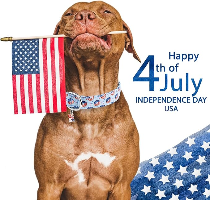 Faygarsle Patriotic Dog Collar, 4th of July Design, American Flag Pattern, Light Blue Summer Design for Small Medium Large Dogs XS