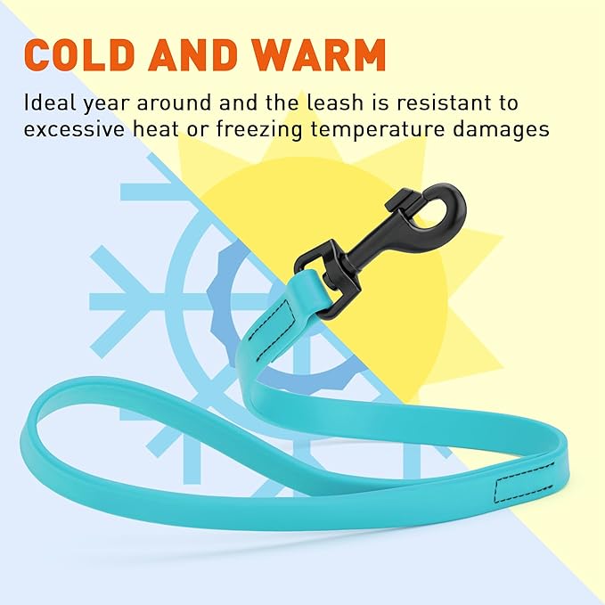 Dogline Biothane Waterproof Dog Leash Strong Coated Nylon Webbing with Black Hardware Odor-Proof Easy to Clean High Performance for Small or Large Dogs Made in USA 2 ft Lead, Sky Blue