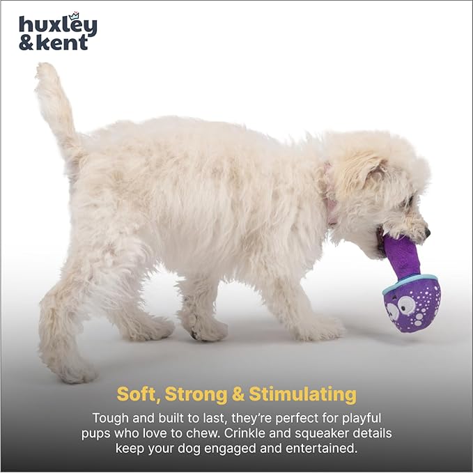 Huxley & Kent Funny Dog Toy w/Squeaker – Power Plush Squeaky Dog Toys for Small Dogs – Durable Small Stuffed Animal for Indoor Play & Fetch - Tiny Tuff Mellow Mushroom