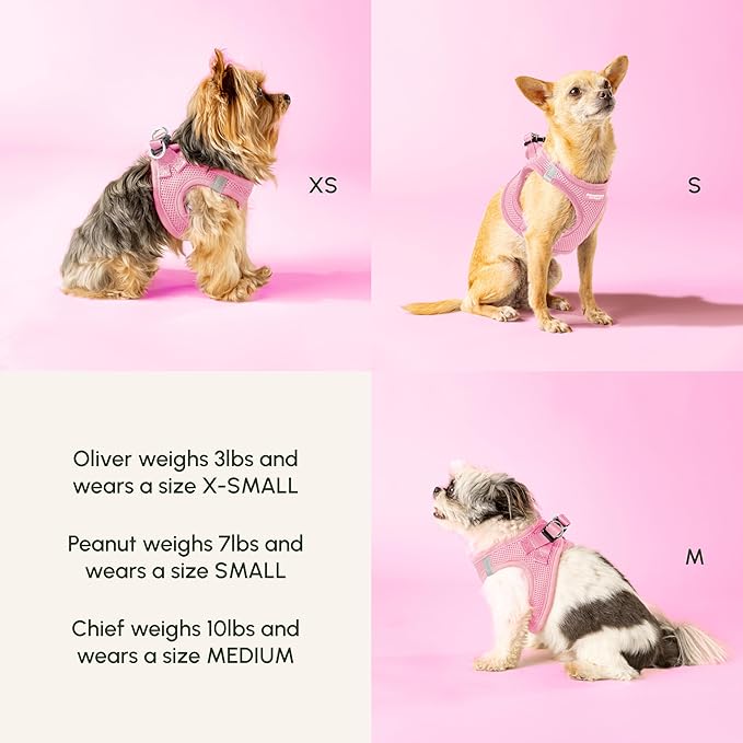 Downtown Pet Supply Step in Dog Harness for Small Dogs - Adjustable, Escape Proof Dog Harness with Reflective Trim - All-Weather, Fast-Drying Padded Mesh Fabric - Baby Pink, XXS