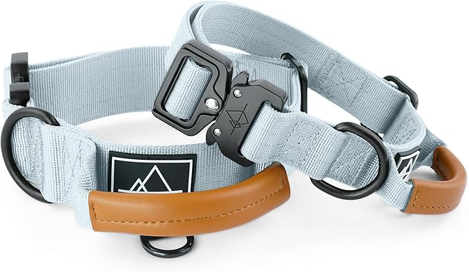 Made to ROAM Premium Explorer Control Collar - Adjustable Heavy Duty Nylon Dog Collar with Quick-Release Metal Buckle and Handle (Alaska Daybreak, Control Size 5)