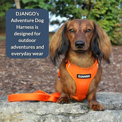 DJANGO Adventure Dog Harness - Stylish, & Durable Large Dog Harness for Outdoor Adventures and Everyday Wear - Sunset Orange Neoprene Adjustable Harness for Dogs with Reflective Piping & Brass D-Ring