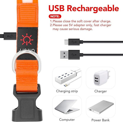 Vizpet LED Dog Collar, Light Up Dog Collar Adjustable USB Rechargeable Super Bright Safety Light Glowing Collars for Dogs(Large,Orange)