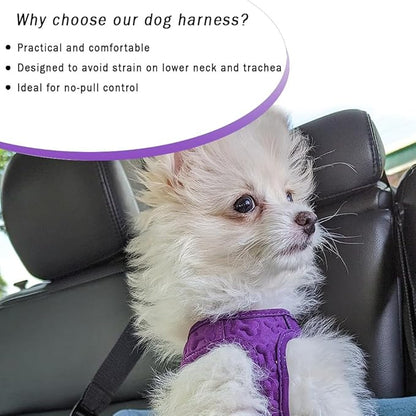 Comfort Fit No Pull Dog Harness – Adjustable Step-in Vest for Small, Medium & Large Dogs, Soft Padded with Leash Clips, Reflective Straps & Handle