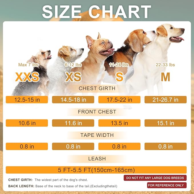 BEAUTYZOO No Pull Small Dog Harness and Leash Set, Soft Puppy Vest Harness with Handle Escape Proof & Easy Walk, Lightweight Dog Winter Harness Chest Adjustable for Girl Boy Dogs Max 7 lbs, Green XXS