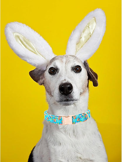 Lionheart glory Easter Dog Collar Colorful Collar for Large Dog Collars Easter Egg Print Dog Collars Spring Female or Male Pet Gift Adjustable Heavy-Duty Pet Collar Holiday
