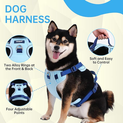 No Pull Dog Harness Leash and Collar Set, Soft Adjustable Dogs Vest Reflective and Comfortable Handle Blue Small