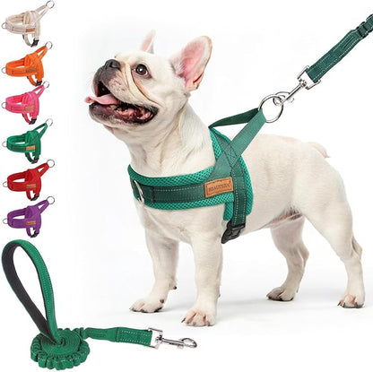 BEAUTYZOO No Pull Dog Harness Medium Sized Dog, Breathable Mesh Padded Dog Harness and Leash Set, Adjustable Reflective Escape Proof Dog Vest Harnessss Quick Fit for Training Walking, Green M