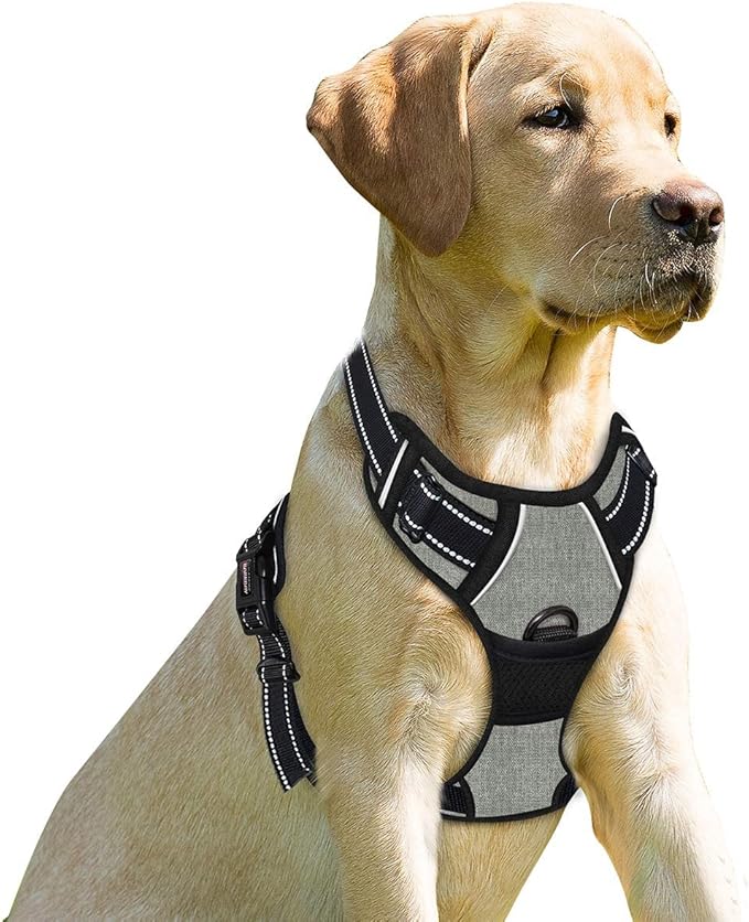 BARKBAY No Pull Dog Harness Front Clip Heavy Duty Reflective Easy Control Handle for Large Dog Walking(Flint Gray,L)