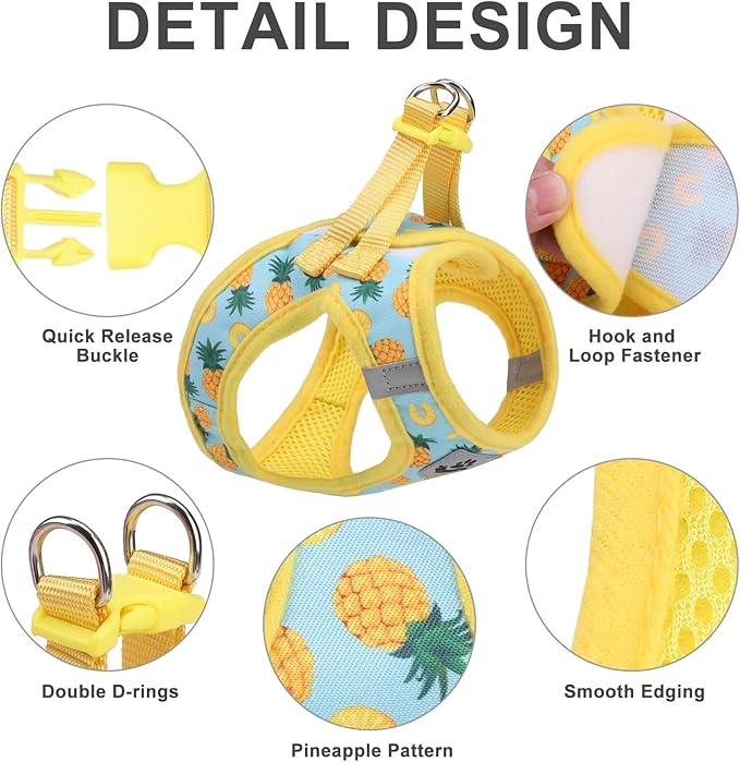 EXPAWLORER Dog Harness and Leash Set - Cute Puppy Harness Leash Dog Collar with AirTag Holder Silicone Case, Soft Padded Step in Pet Vest Reflective for Outdoor Walking, Pineapple L