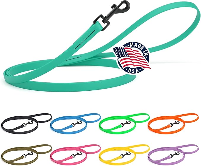 Dogline Biothane Waterproof Dog Leash Strong Coated Nylon Webbing with Black Hardware Odor-Proof Easy to Clean High Performance for Small or Large Dogs Made in USA 4 or 6 ft Lead, Teal
