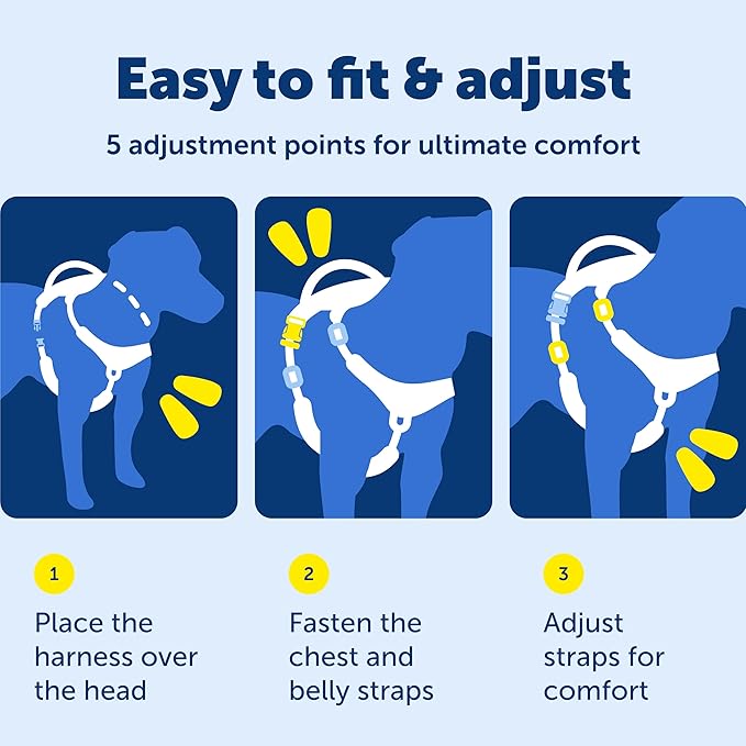 PetSafe Easy Walk Comfort No-Pull Dog Harness - Better Walk Training Harness - Full Body Padded Design - Durable Fabric - 5 Point Adjustable Fit - Everyday Leash Training - Blue - Large