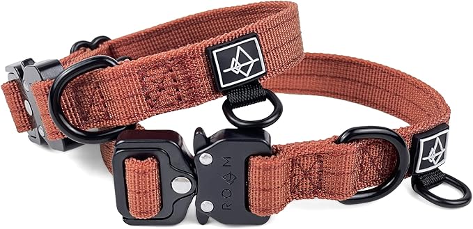 Made to ROAM Premium Dog Collar - Adjustable Heavy Duty Nylon Collar with Quick-Release Metal Buckle (Arizona Sunkissed, Classic Size 3)