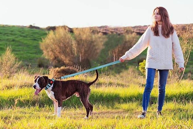 Reflective Dog Collar and Leash Set with Safety Locking Buckle Nylon Pet Collars Adjustable for Small Medium Large Dogs 3 Sizes(M)