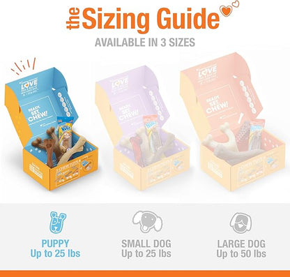 Nylabone Puppy Gift Box, Includes 3 Strong Puppy Chew Toys and 1 Natural Treat Bone for Puppies, Gifts for Puppies, Small Dogs - Up to 25 lbs., 4 Pack