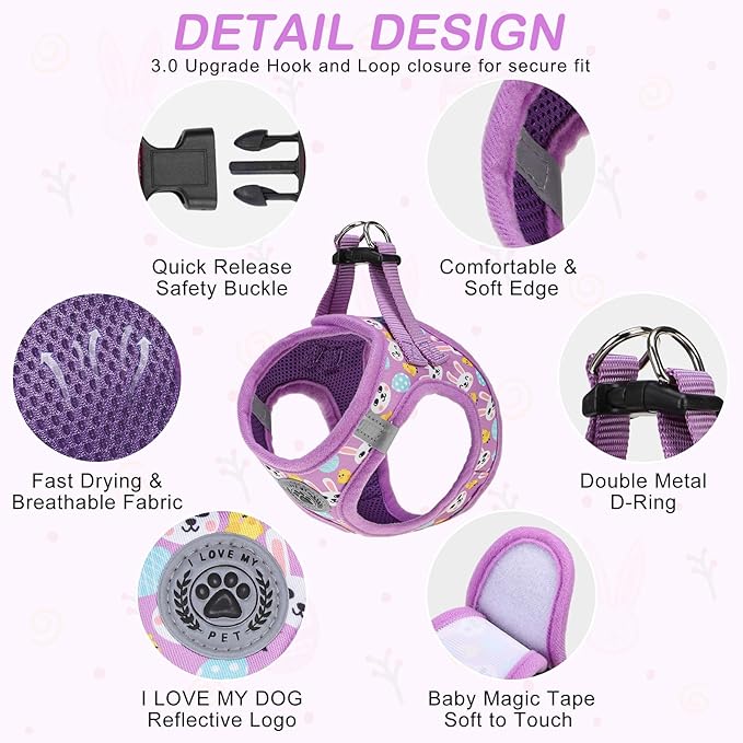 BEAUTYZOO Small Dog Harness and Leash Set,Step in No Choke No Pull Soft Mesh Dog Harnesses Reflective for Extra-Small/Small Medium Puppy Dogs and Cats,Colorful XS