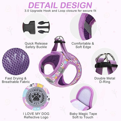 BEAUTYZOO Small Dog Harness and Leash Set,Step in No Choke No Pull Soft Mesh Dog Harnesses Reflective for Extra-Small/Small Medium Puppy Dogs and Cats,Colorful XS