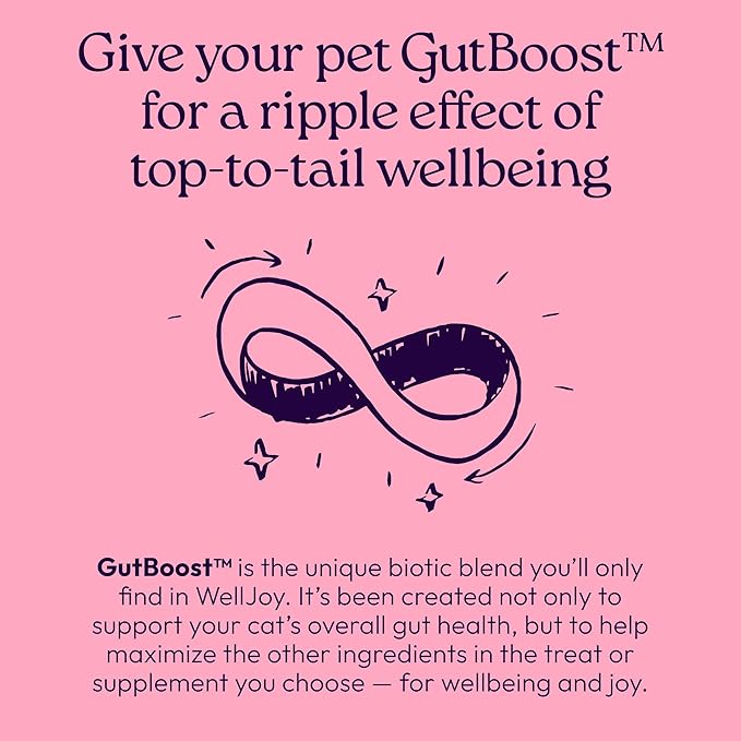 New! WellJoy Cat Supplement Urinary+ GutBoost | Cat Health Supplement | Supports Urinary Tract Health | Dual-Benefit GutBoost Formulation | Vet Formulated | USA Made | Chicken Flavor | 90 Soft Chews