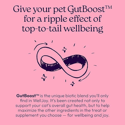 New! WellJoy Cat Supplement Urinary+ GutBoost | Cat Health Supplement | Supports Urinary Tract Health | Dual-Benefit GutBoost Formulation | Vet Formulated | USA Made | Chicken Flavor | 90 Soft Chews