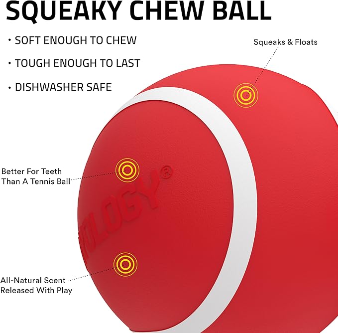 Playology Dog Toys | Squeaky Chew Ball - Bouncy Durable Floating Fetch Ball for Dogs | Jumbo Grandma's Gravy Scented Toy - Easy to Clean and Made from Non Toxic Materials