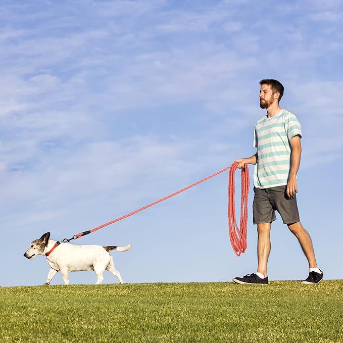 Long Dog Leash for Training 15Ft-Reflective Nylon Rope with Swivel Hook-Recall Agility Lead for Large Small Medium Dogs Outside Walking Hiking-Orange