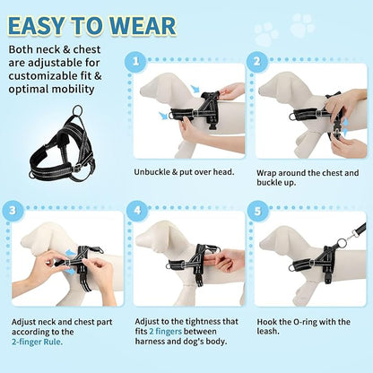 SlowTon No Pull Small Dog Harness and Leash Set, Puppy Soft Vest Harness Neck & Chest Adjustable, Reflective Lightweight Harness & Anti-Twist Pet Lead Combo for Small Medium Dogs(B,L)