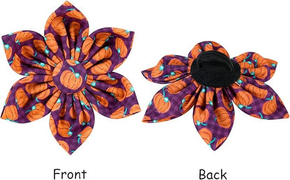 Lionet Paws Dog Collar with Flower, Halloween Flower Collar for Dog,Adjustable Comfortable Dog Collar Gift for Puppy Small Medium Large Dog