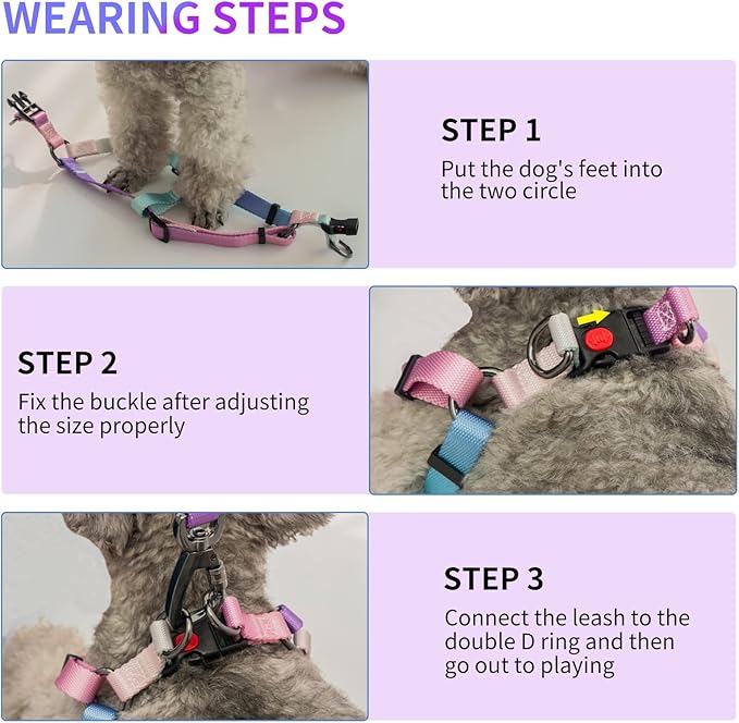 AIITLE Step in Dog Harness Collar Leash Set - Adjustable No Pull Dog Halter Harness - Comfortable Padded Handle - Easy Control for Walking - for Extra-Small Breed Dogs, Pink Gradient XS