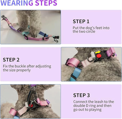 AIITLE Step in Dog Harness Collar Leash Set - Adjustable No Pull Dog Halter Harness - Comfortable Padded Handle - Easy Control for Walking - for Extra-Small Breed Dogs, Pink Gradient XS